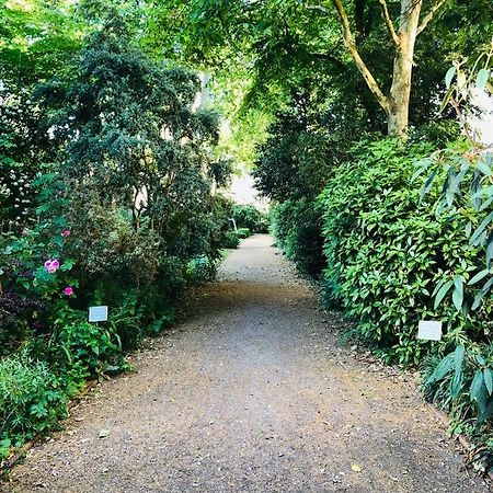 Southern Belgravia Apartments London Ngoại thất bức ảnh