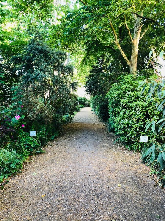 Southern Belgravia Apartments London Ngoại thất bức ảnh